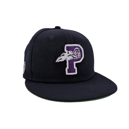 League Icons: Purple Punch 420 Fitted-Flex Hat