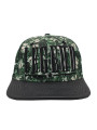 Legend Allover Print Green Hat