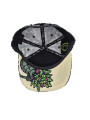 Drop Seeds Not Bombs 420 Snapback Hat