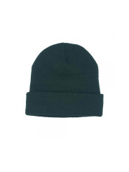 THC Recordz Cuffed Beanie Green