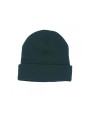 THC Recordz Cuffed Beanie Green