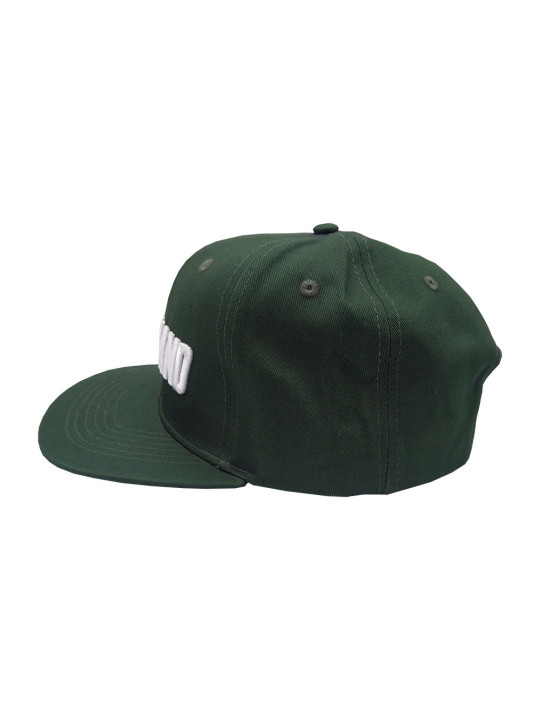 Ferdinand Automotive Snapback Green