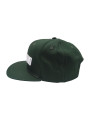 Ferdinand Automotive Snapback Green