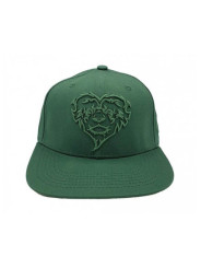 Lionhearted Snapback Green