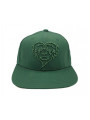Lionhearted Snapback Green