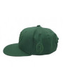 Lionhearted Snapback Green