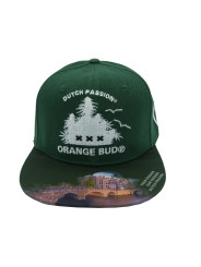 Dutch Passion Seed Company - Orange Bud