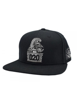 Ajax the Great 020 Snapback Hat