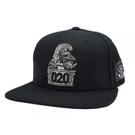 Ajax the Great 020 Snapback Hat