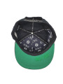 THC Recordz - ART. 140 Snapback Hat - Limited Edition
